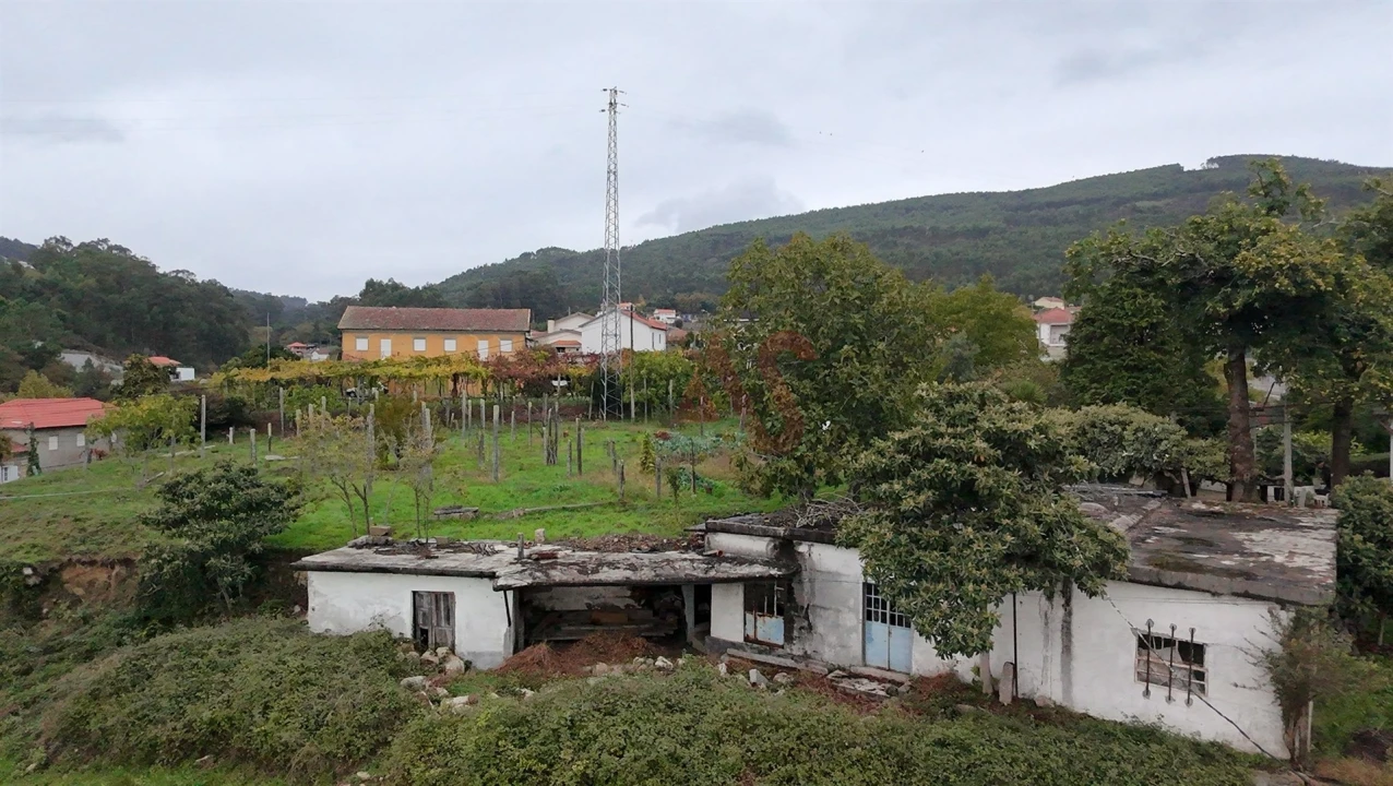 Terreno para Venda em Sousela Foto 11