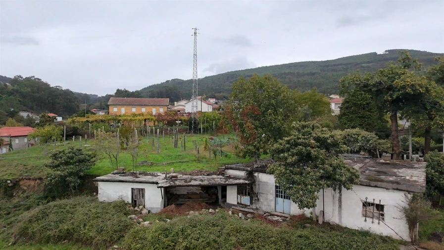 Terreno para Venda em Sousela Foto 11