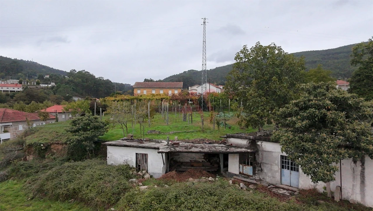 Terreno para Venda em Sousela Foto 4