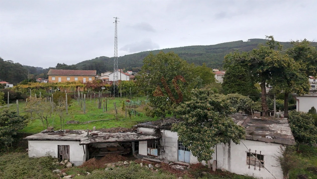 Terreno para Venda em Sousela Foto 5