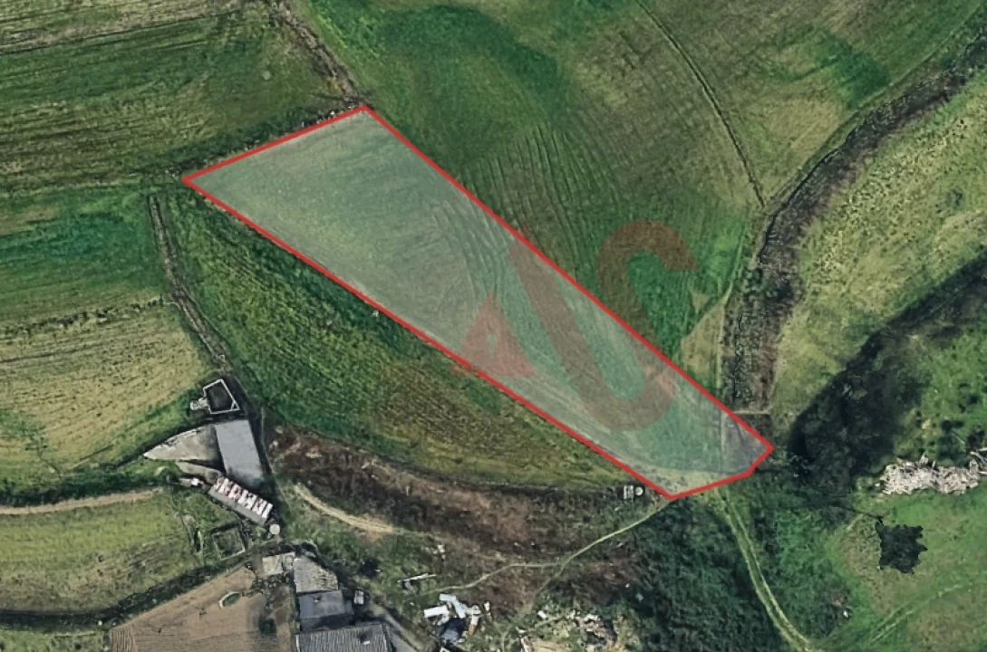 Terreno Agricola ou Rústico para Venda em Silvares, Pias, Nogueira e Alvarenga Foto 1
