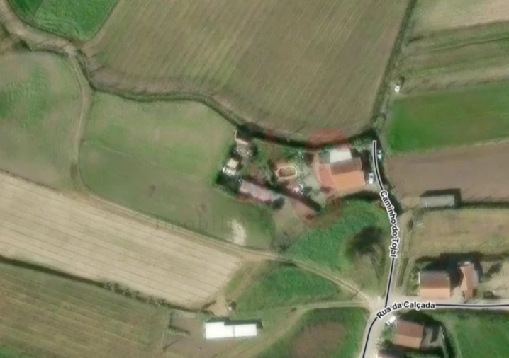 Terreno Agricola ou Rústico para Venda em Silvares, Pias, Nogueira e Alvarenga Foto 2