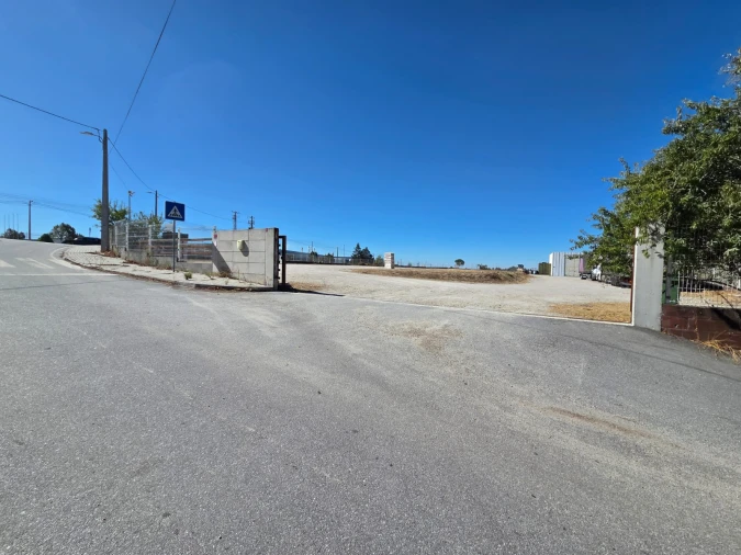 Terreno para Arrendamento em Nelas Foto 6