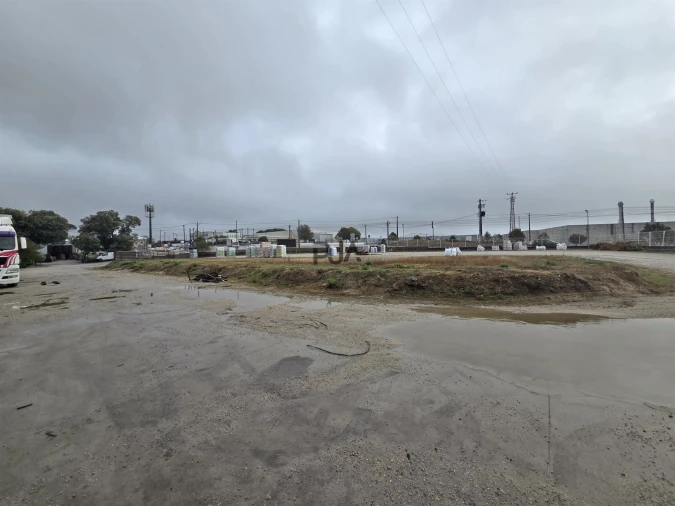 Terreno para Arrendamento em Nelas Foto 13