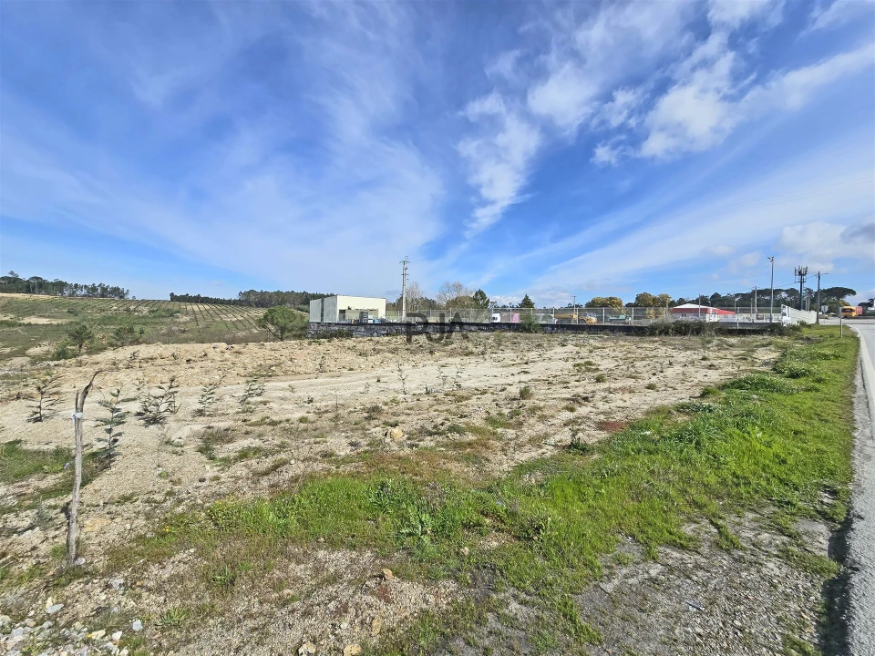 Terreno para Arrendamento em Nelas Foto 12