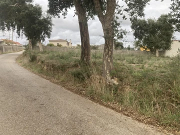 Terreno para Venda em Souto da Carpalhosa e Ortigosa