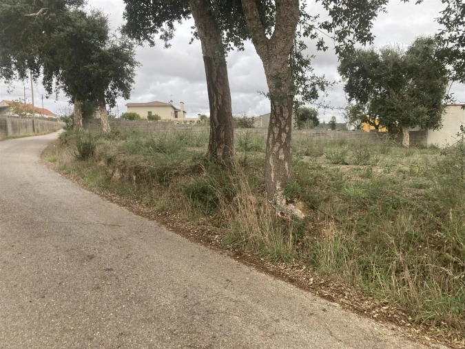 Terreno para Venda em Souto da Carpalhosa e Ortigosa Foto 3