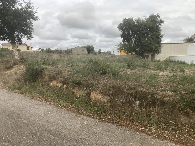 Terreno para Venda em Souto da Carpalhosa e Ortigosa Foto 4