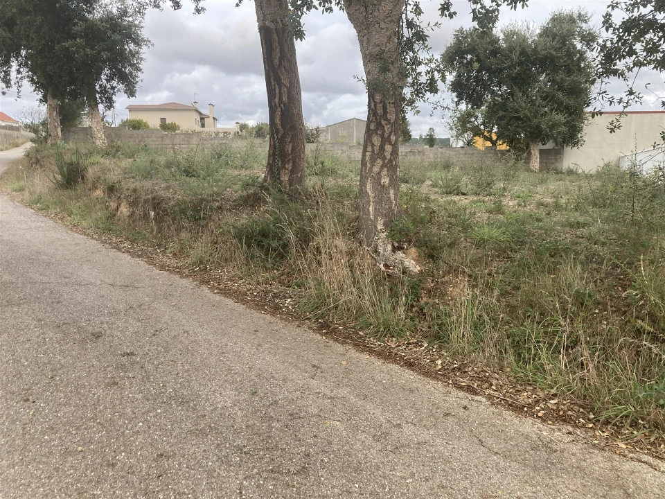 Terreno para Venda em Souto da Carpalhosa e Ortigosa Foto 1