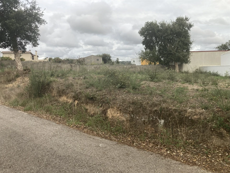 Terreno para Venda em Souto da Carpalhosa e Ortigosa Foto 4