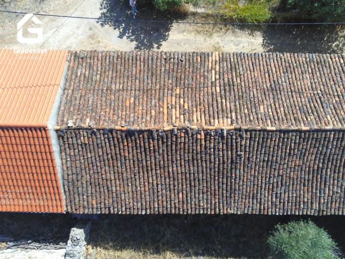 Armazém para Venda em São Miguel de Acha Foto 18