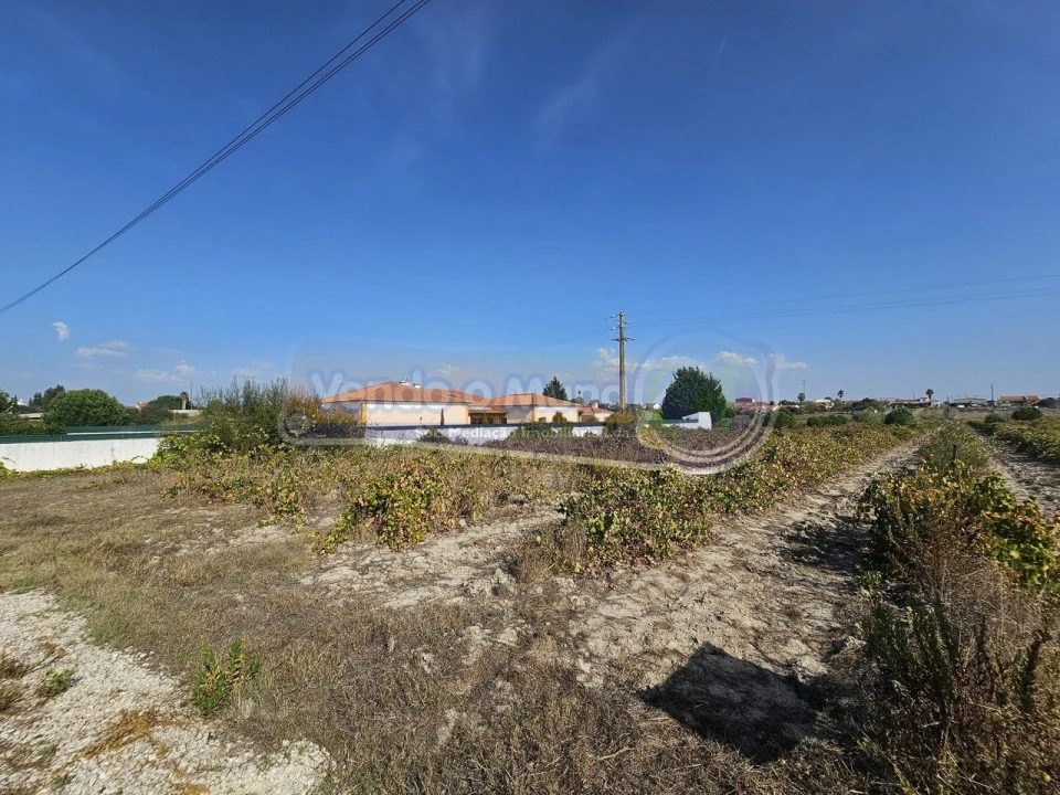 Terreno para Venda em Santo Estêvão Foto 5