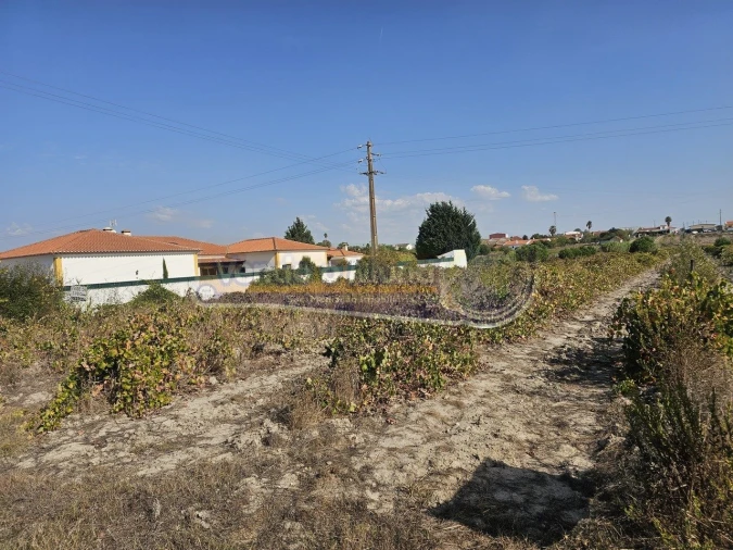Terreno para Venda em Santo Estêvão