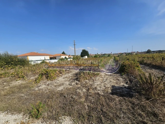 Terreno para Venda em Santo Estêvão Foto 2