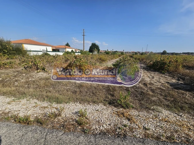 Terreno para Venda em Santo Estêvão Foto 4