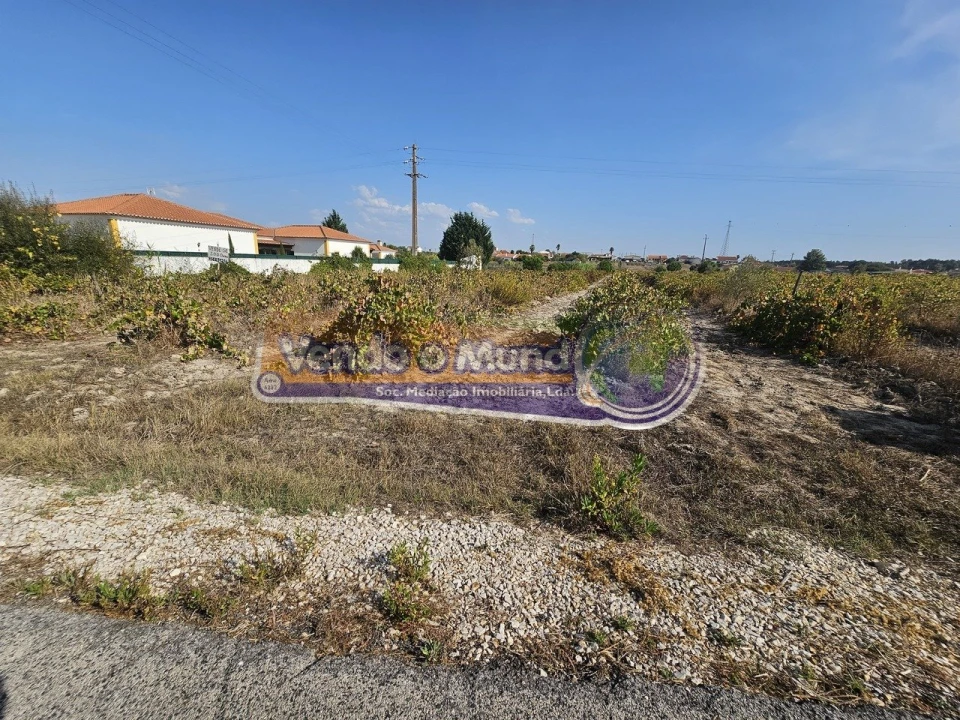 Terreno para Venda em Santo Estêvão Foto 4