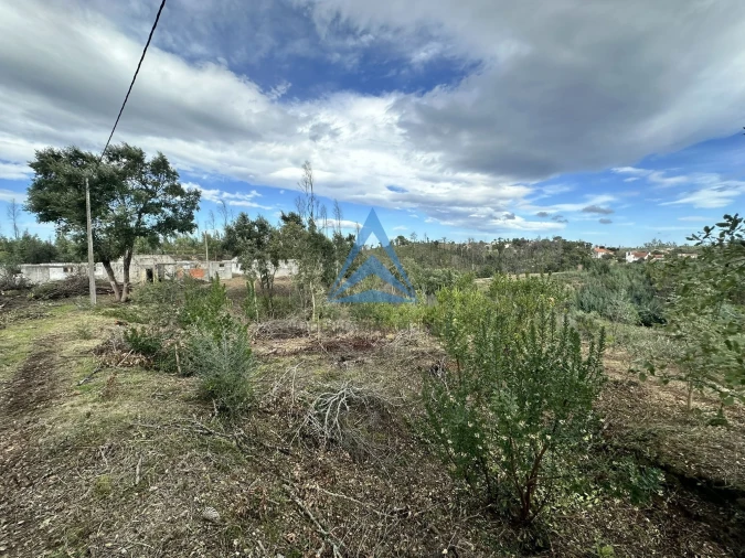 Terreno para Venda em Pousaflores Foto 13