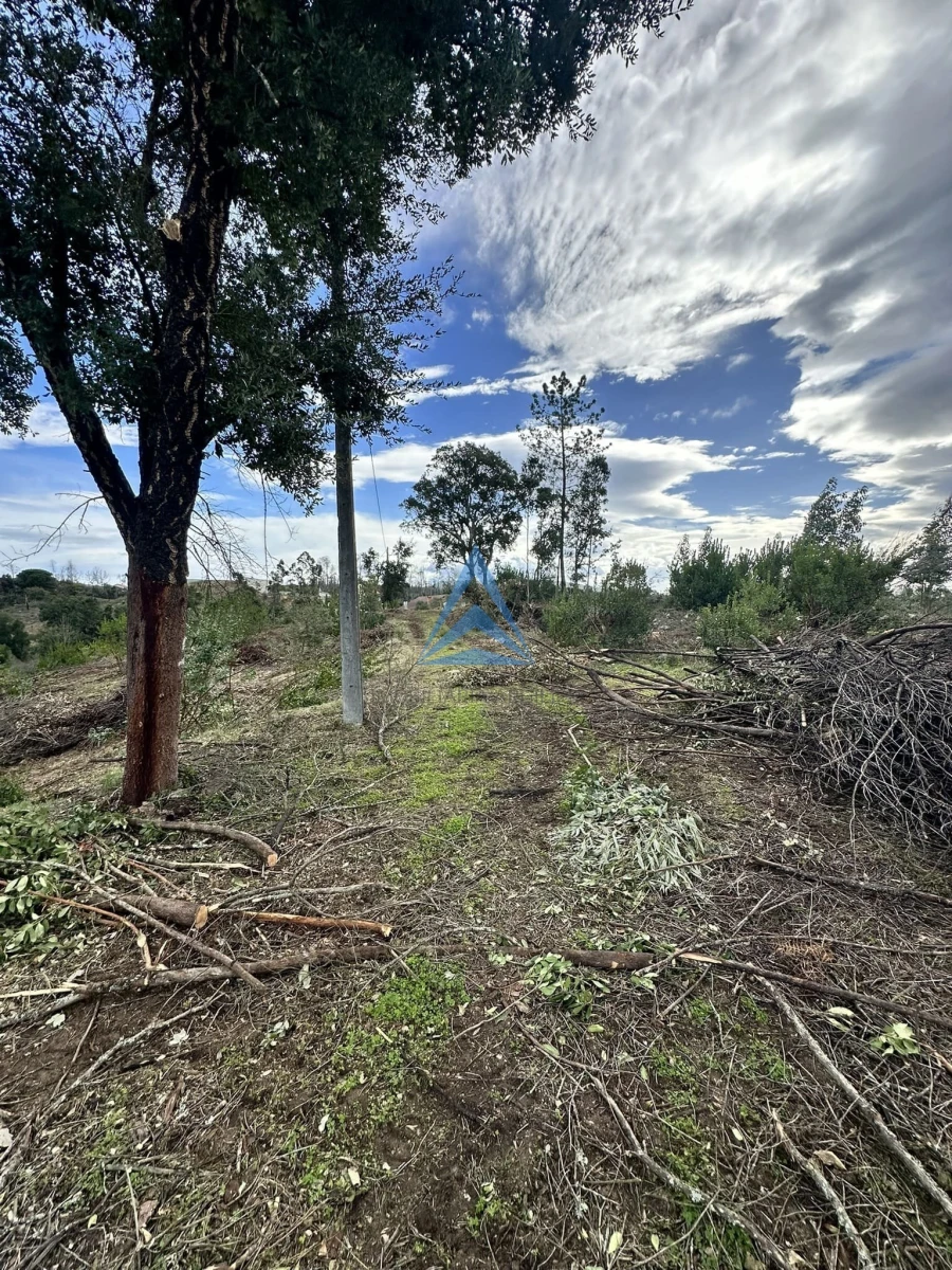 Terreno para Venda em Pousaflores Foto 19