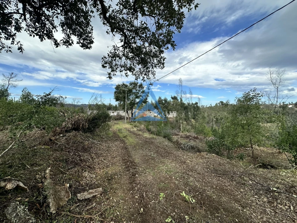 Terreno para Venda em Pousaflores Foto 5