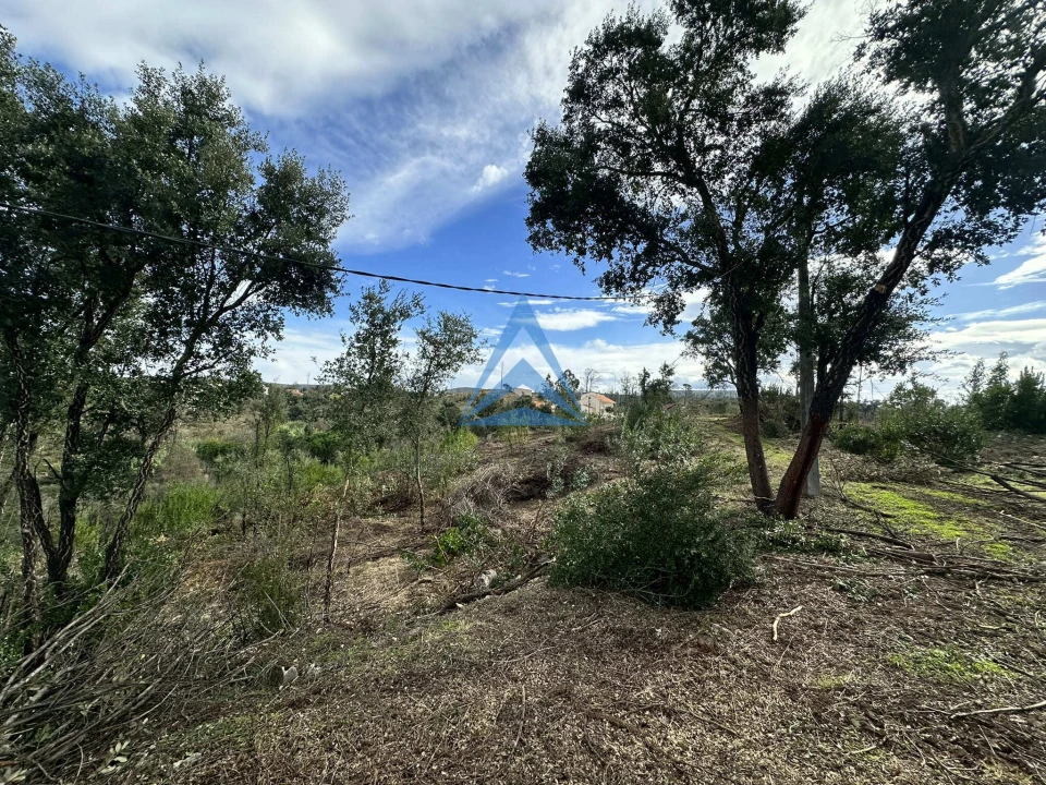 Terreno para Venda em Pousaflores Foto 18