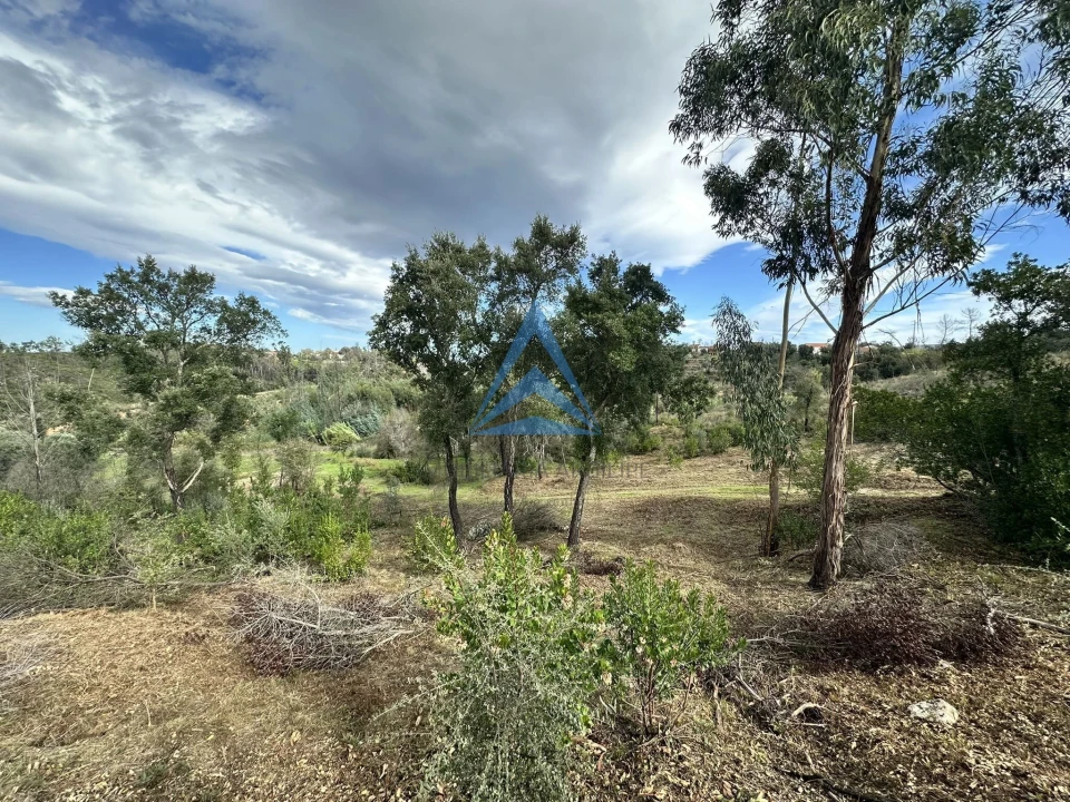 Terreno para Venda em Pousaflores Foto 16