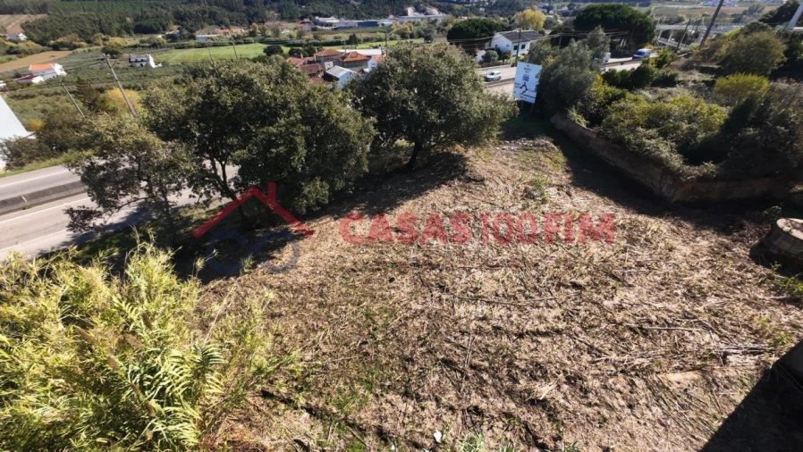Terreno Agricola ou Rústico para Venda em Parceiros e Azoia Foto 5