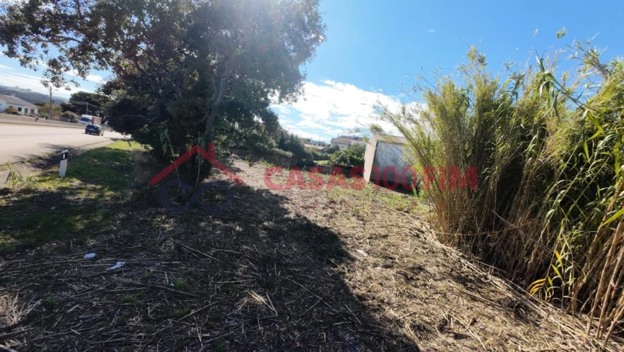 Terreno Agricola ou Rústico para Venda em Parceiros e Azoia Foto 15