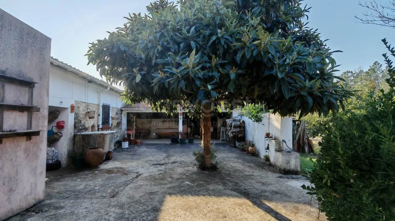 Moradia T3 para Venda em Madalena e Beselga Foto 21