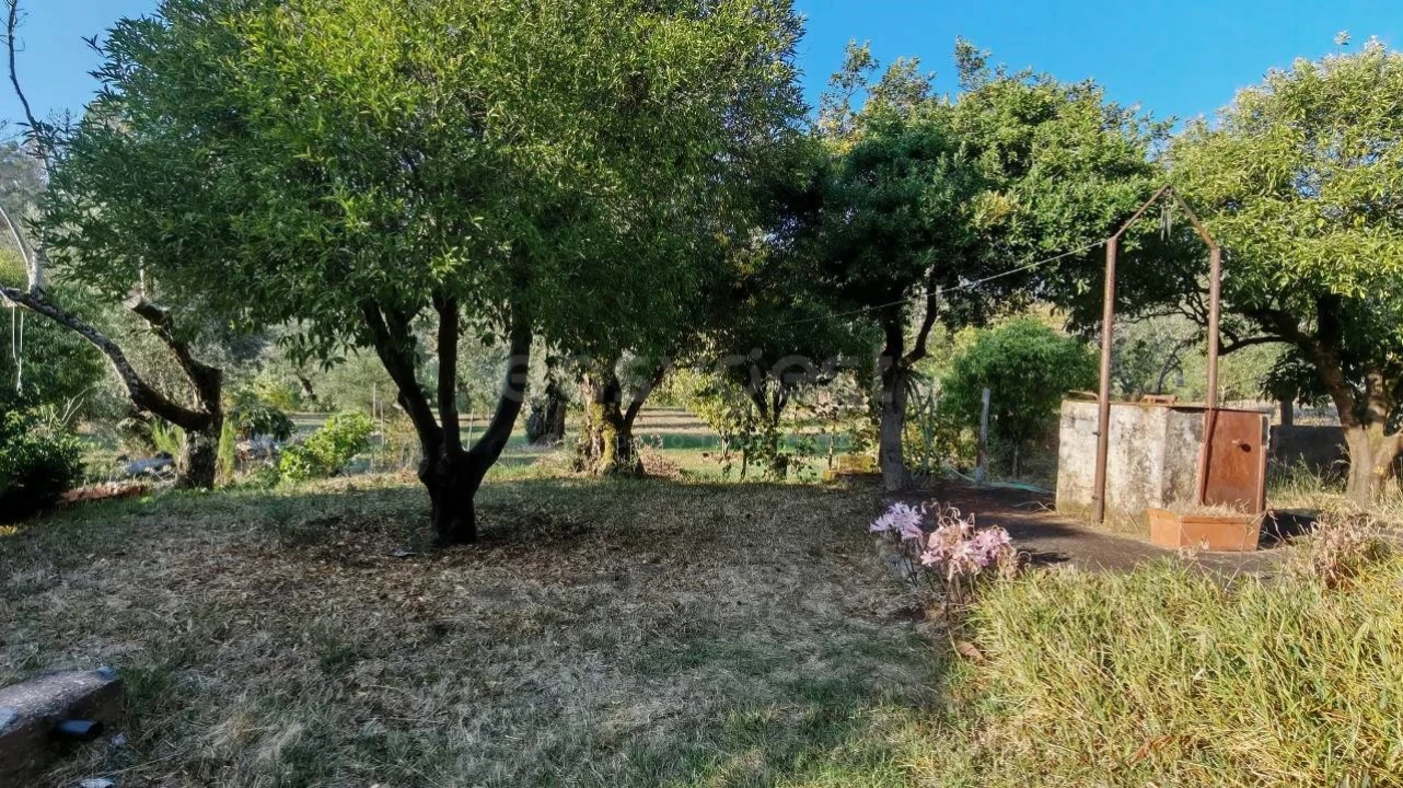 Moradia T3 para Venda em Madalena e Beselga Foto 24