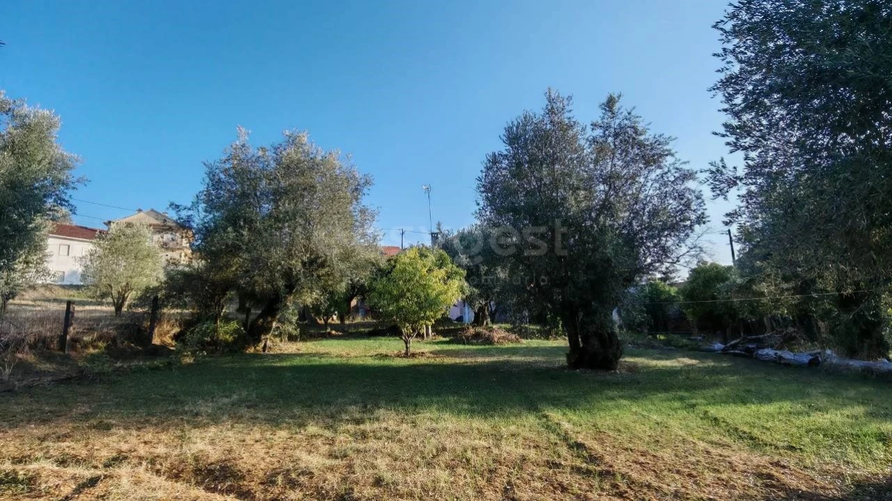 Moradia T3 para Venda em Madalena e Beselga Foto 29