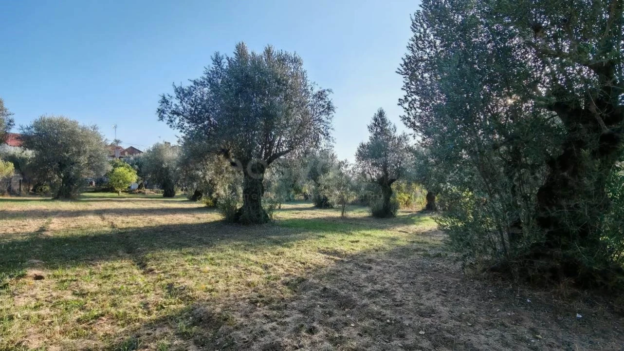 Moradia T3 para Venda em Madalena e Beselga Foto 31