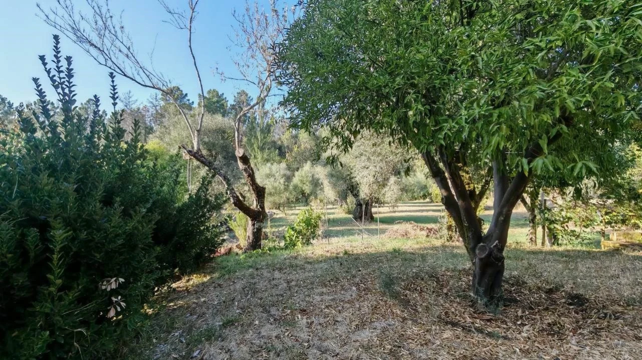 Moradia T3 para Venda em Madalena e Beselga Foto 32