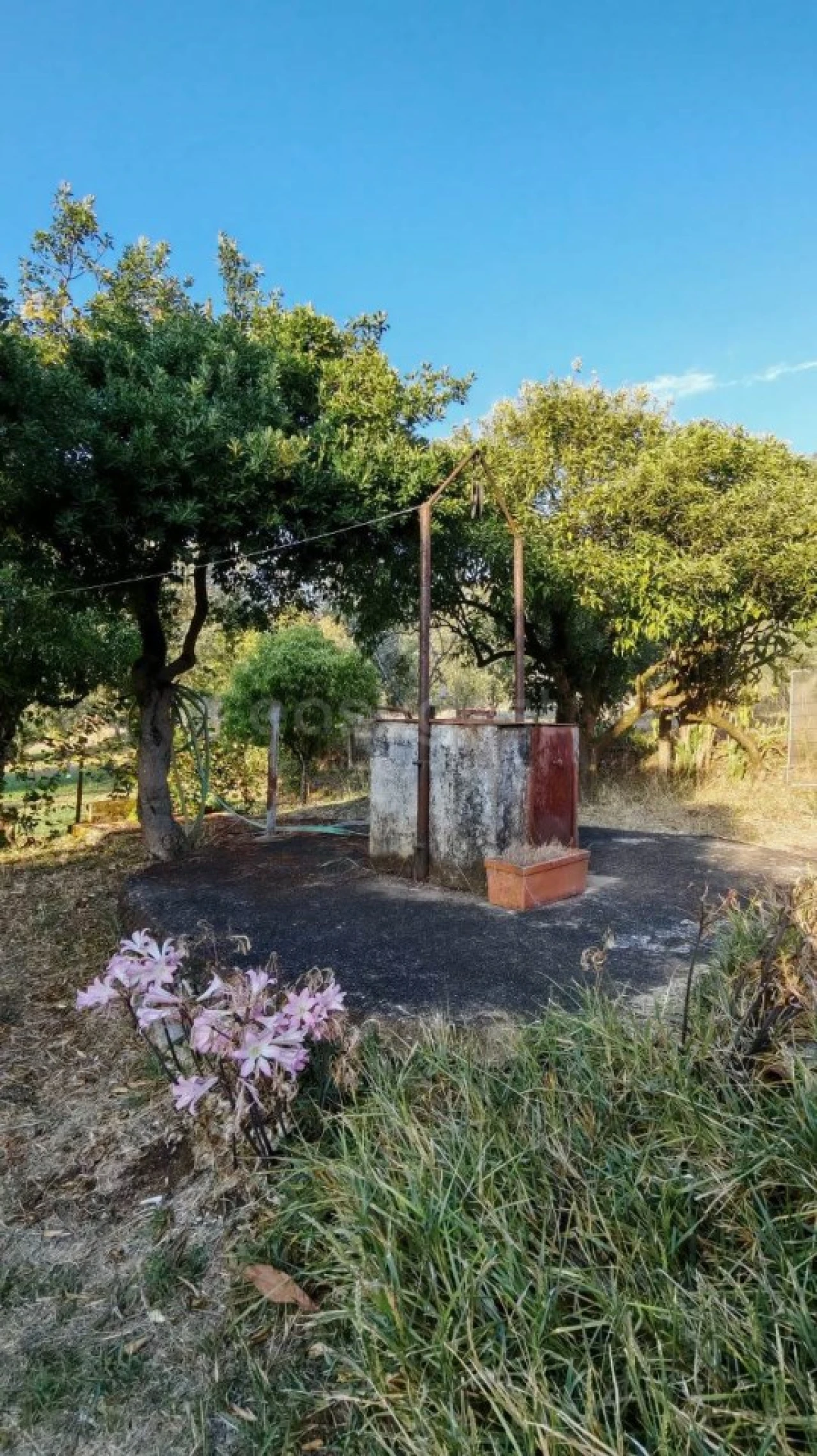 Moradia T3 para Venda em Madalena e Beselga Foto 33