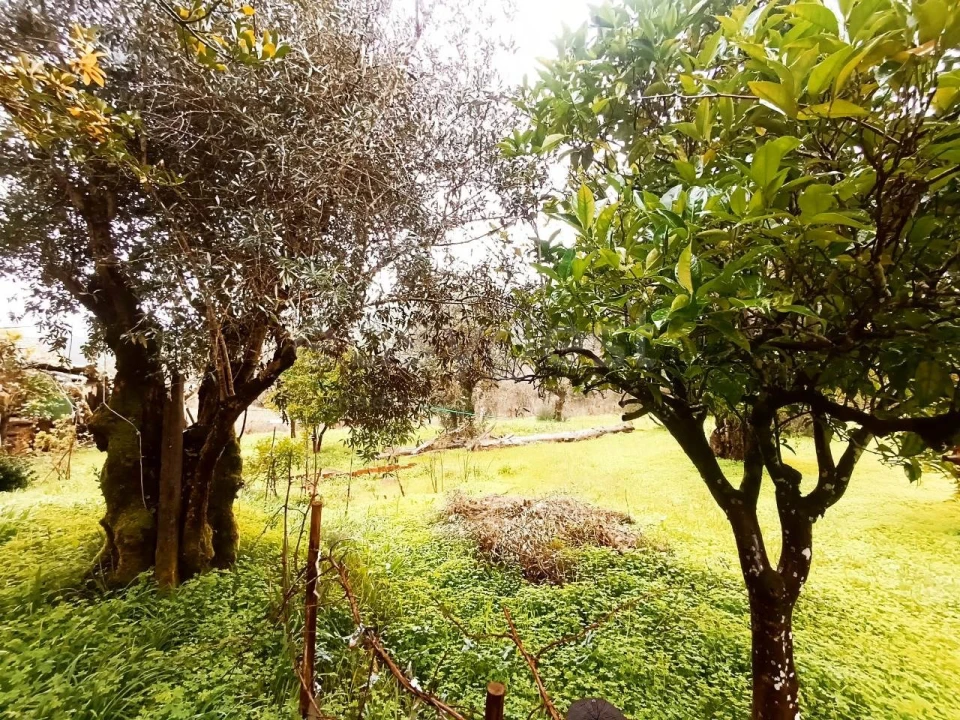 Moradia T3 para Venda em Madalena e Beselga Foto 8