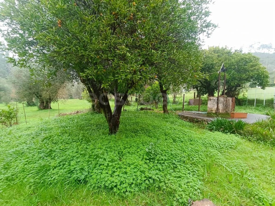 Moradia T3 para Venda em Madalena e Beselga Foto 15