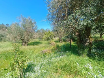 Moradia T4 para Venda em Madalena e Beselga