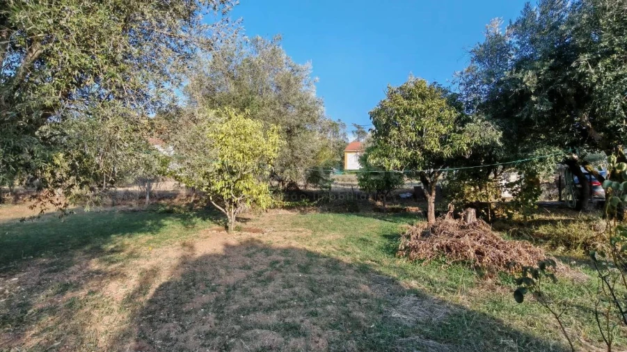 Moradia T3 para Venda em Madalena e Beselga Foto 25