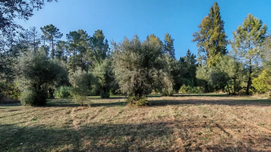 Moradia T3 para Venda em Madalena e Beselga Foto 30