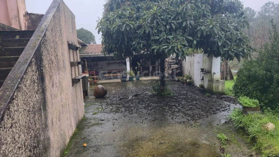 Moradia T3 para Venda em Madalena e Beselga Foto 3