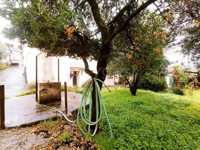 Moradia T3 para Venda em Madalena e Beselga Foto 7