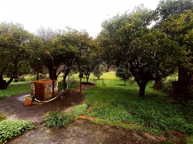 Moradia T3 para Venda em Madalena e Beselga Foto 9