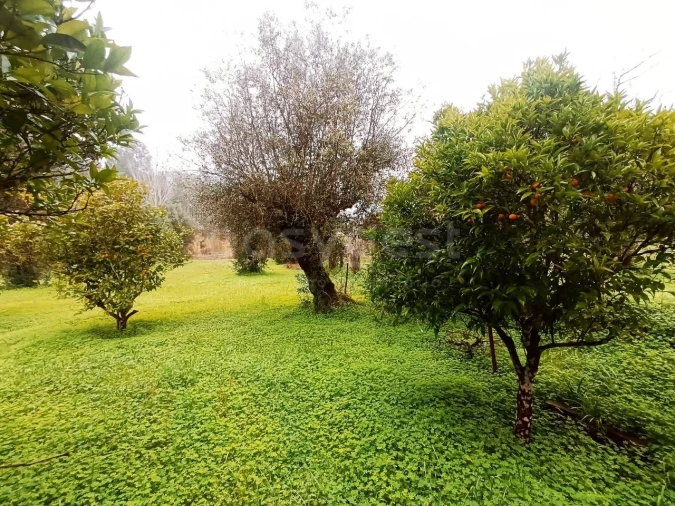 Moradia T3 para Venda em Madalena e Beselga Foto 10