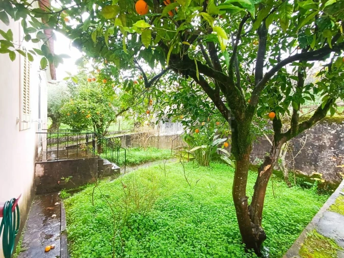 Moradia T3 para Venda em Madalena e Beselga Foto 11