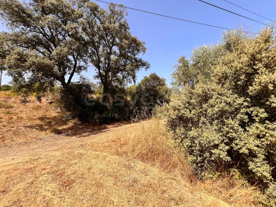 Terreno para Venda em Carregueiros Foto 5