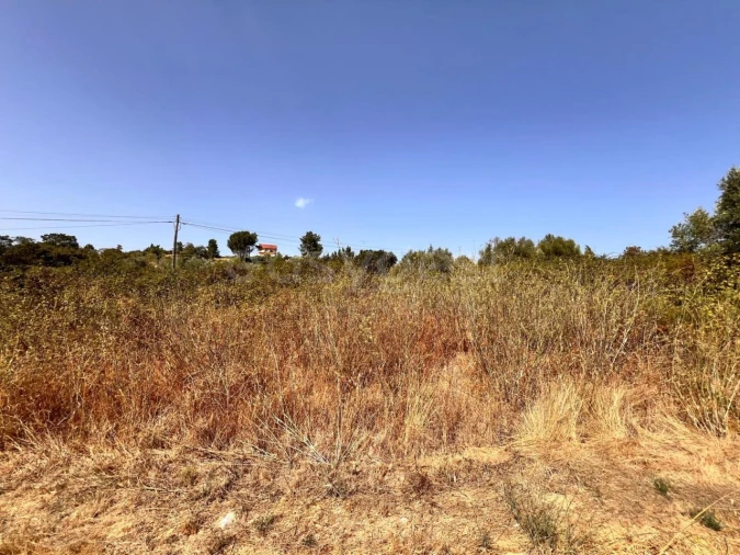 Terreno para Venda em Carregueiros Foto 4