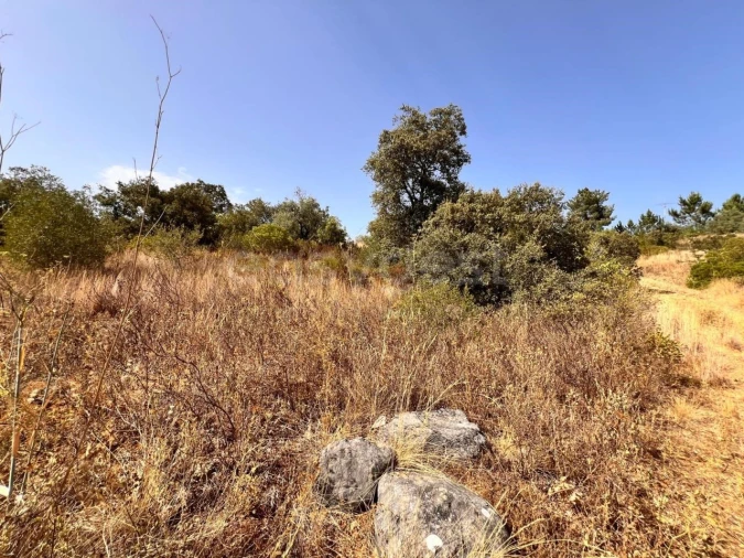 Terreno para Venda em Carregueiros Foto 14