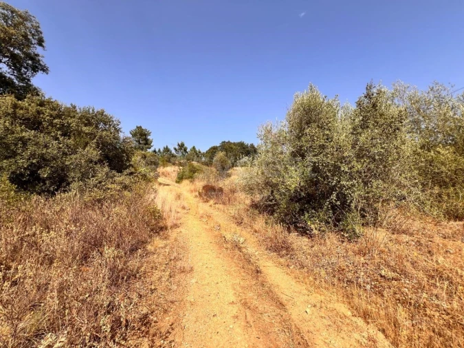 Terreno para Venda em Carregueiros Foto 16
