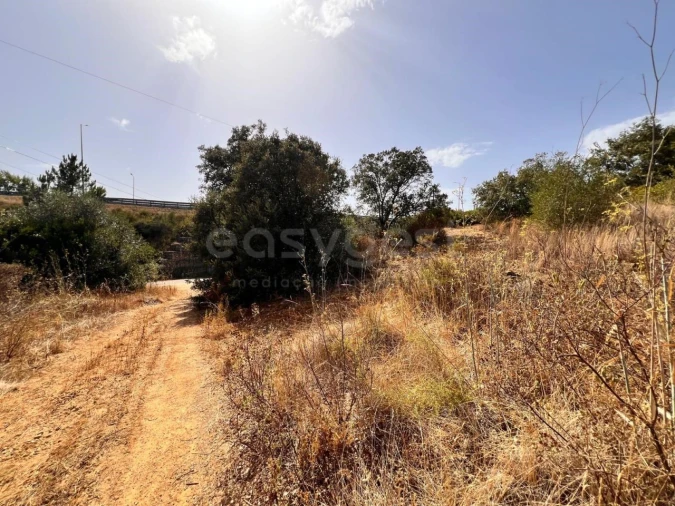 Terreno para Venda em Carregueiros Foto 17