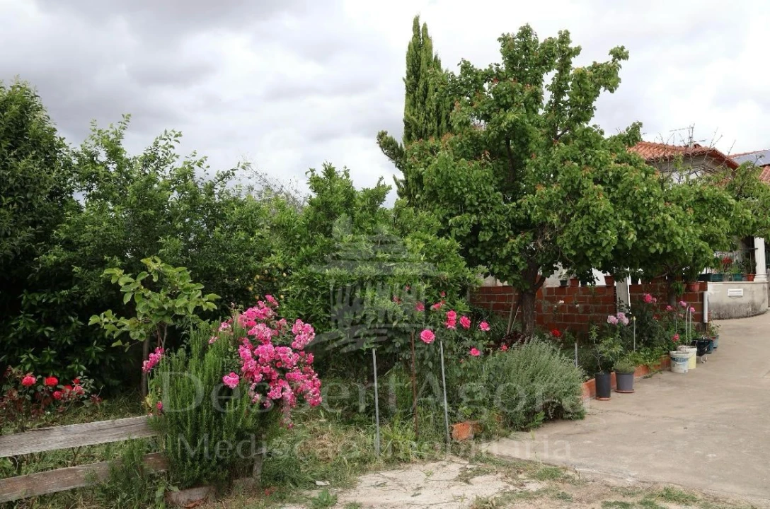 Moradia T3 para Venda em Golegã Foto 16