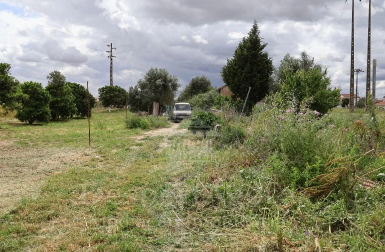 Moradia T3 para Venda em Golegã Foto 13